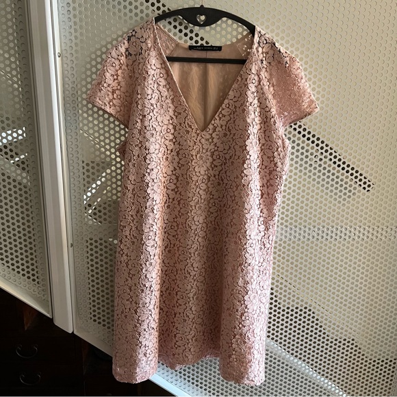 VGUC Zara Lace look Pink Vee Neck Dress Size Large - Picture 3 of 9